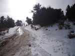 bb-snow01