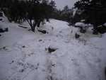 bb-snow09