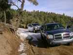 bigbear01