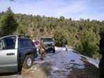 bigbear03