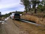 bigbear06
