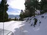 bigbear07