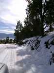 bigbear08