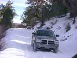 bigbear09