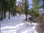 bigbear11