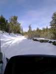 bigbear12