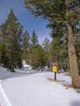 bigbear13