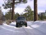 bigbear14
