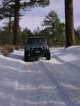 bigbear15