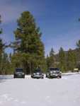 bigbear16