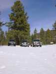 bigbear17