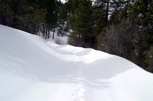 No tracks in front of us