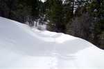No tracks in front of us