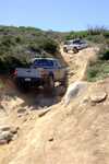 cleghorn016