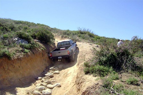 cleghorn018