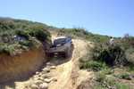 cleghorn018