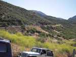 cleghorn002