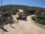 cleghorn004