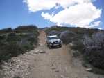 cleghorn007