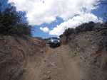 cleghorn008
