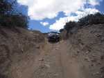cleghorn009