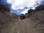 cleghorn010