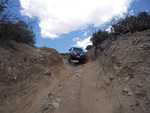 cleghorn011