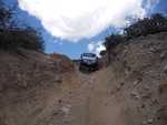 cleghorn012