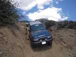 cleghorn014