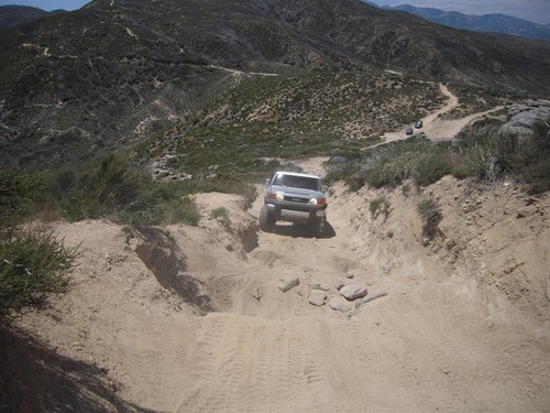 cleghorn018
