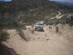 cleghorn018