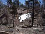 Ravene and snow covered hill s