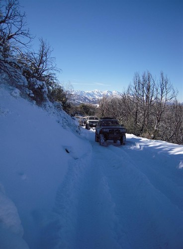 Nice base with 12in of snow here