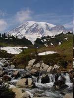 Highlight for album: Seattle, WA Trip - July 2003