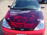 Bling bling Ford Focus hood