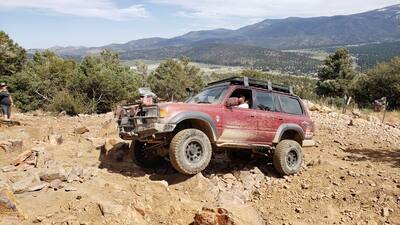 bigbear012.jpg