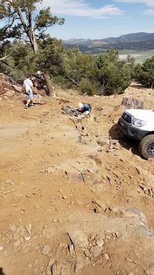bigbear016.jpg