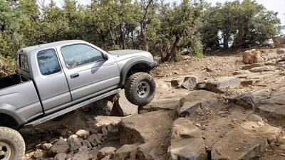 bigbear021.jpg