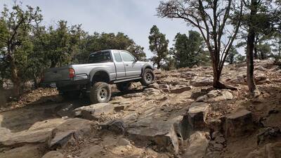 bigbear025.jpg