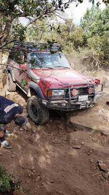 bigbear034.jpg