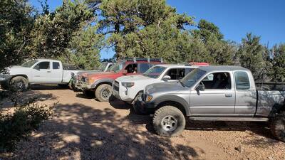bigbear062.jpg