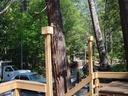 familycamp5.jpg