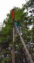 Filename=Streetlight2.jpg
Filesize=121KiB
Dimensions=528x960
Date added=Feb 28, 2023 Streetlight2.jpg